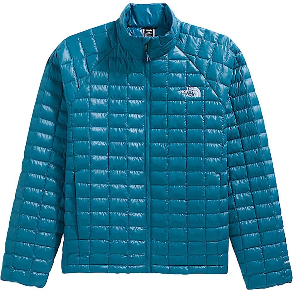 The North Face Men's Teal Puffer Jacket